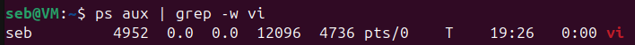 linux_admarch_ps_grep_vi.png